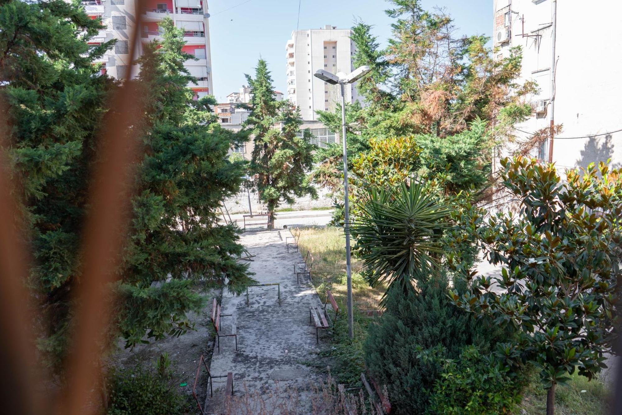 The Urban Nest